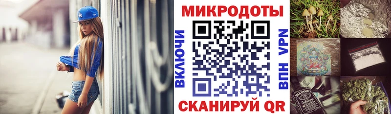 мориарти какой сайт  Гагарин  Псилоцибиновые грибы Cubensis 